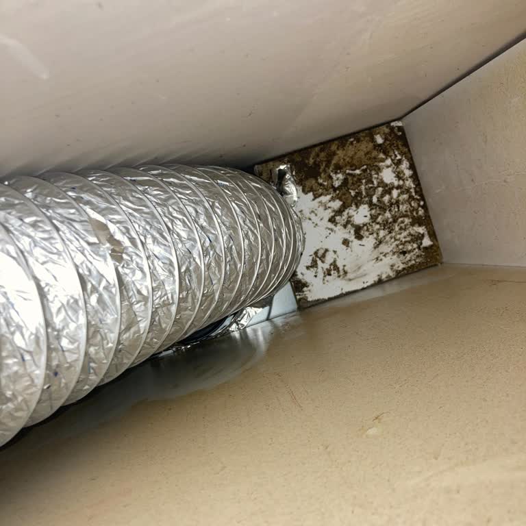 Vestel Servis Hizmetinde Yaşanan Montaj Sorunları