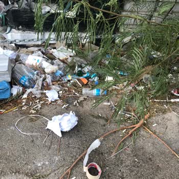 PTT Kargo Bodrum Şubesi Çevre Kirliliği Ve Park Sorunu