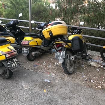 PTT Kargo Bodrum Şubesi Çevre Kirliliği Ve Park Sorunu