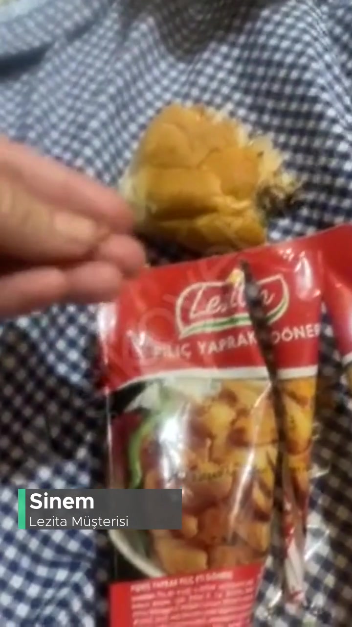 Cam Parçacıklı Lezita Yaprak Döner İle İnsanları Öldürmek Mi Amacınız? videonun kapak resmi