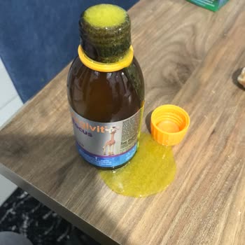 Argivit Focus Köpürme Sorunu