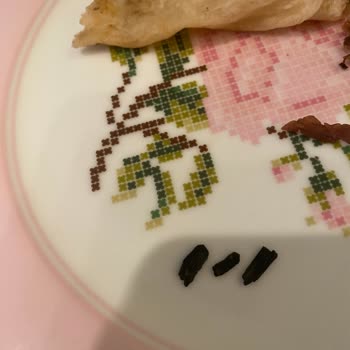 Yemeksepeti Yorumum Yayınlanmıyor Yemekten Yanık Odun Çıktı