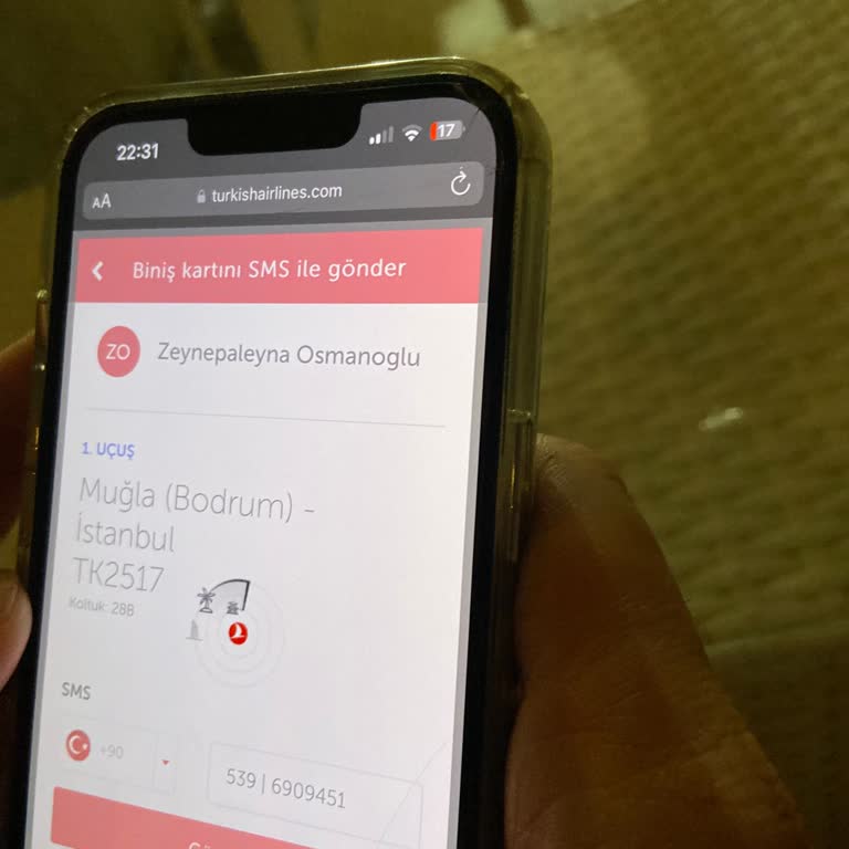 Türk Hava Yolları Check-in 75₺ Saçmalığı