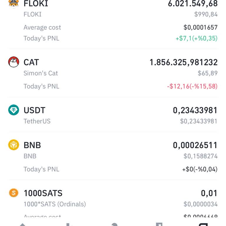 Binance Almadığım Coin Görünüyor