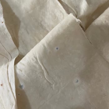 Favori Gıda Myfresh Yufkanın Küflü Çıkması