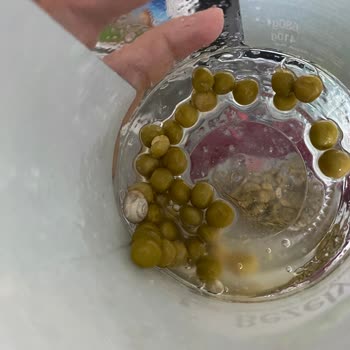 Tukaş Bezelye Kavanozunda Şok Edici Buluntu