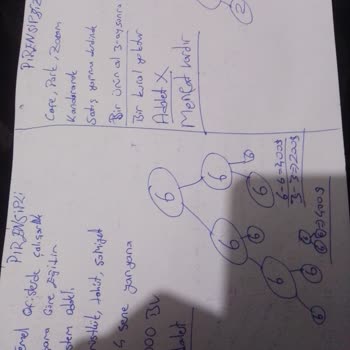 Qnet Takımlarının Aldatmaca Ve Manipülasyon Politikası