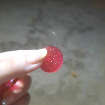 Kent Şekerleri Şekerin İçinden Çıkan Kıl Şoku