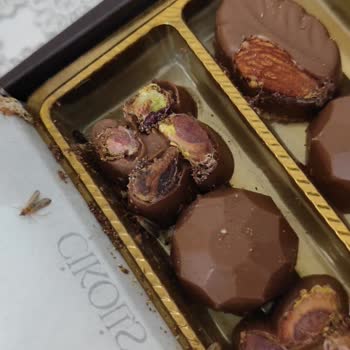 Agâh Efendi Lokum Çikolatasında Güve Çıktı