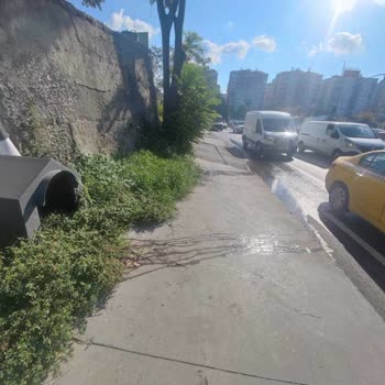 Esenler Belediyesinin Umursamazlığı