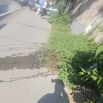 Esenler Belediyesinin Umursamazlığı