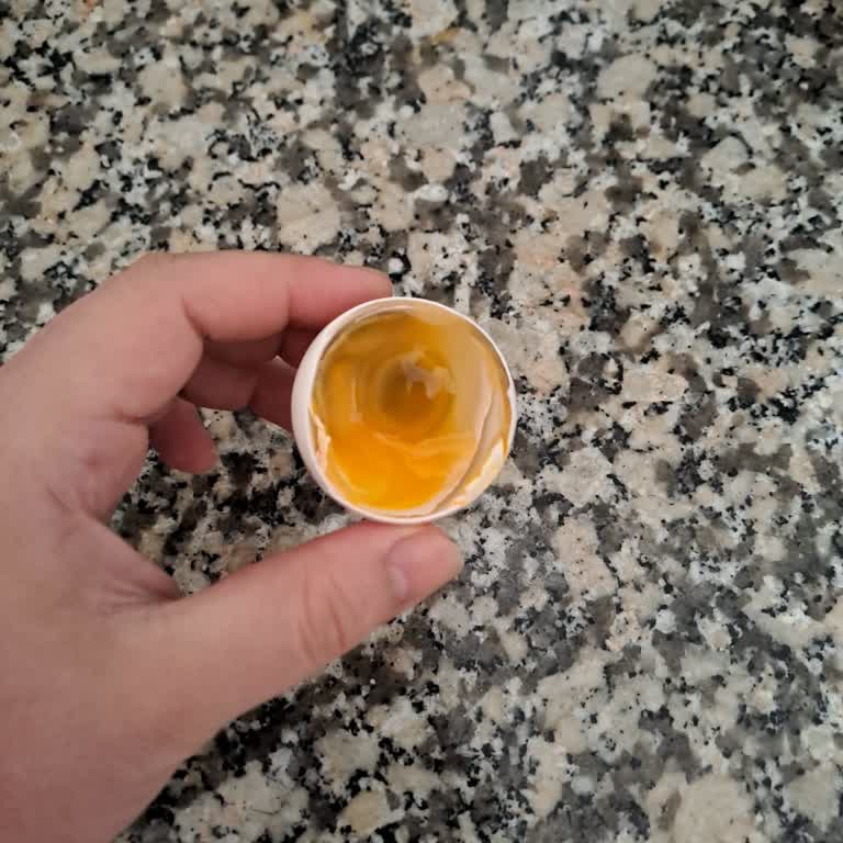 Bolvadin Yumurta Hacı Bolvadin Bozuk Yumurta