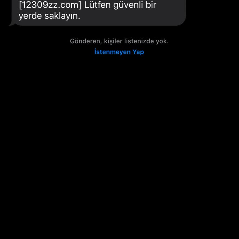 12309zz.com Finansal Site Kullanılarak Yanıltmaca Girişimi