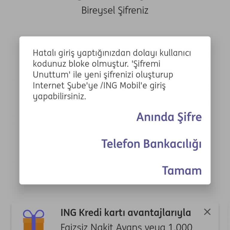 ING Bank Kredi Kullanımı
