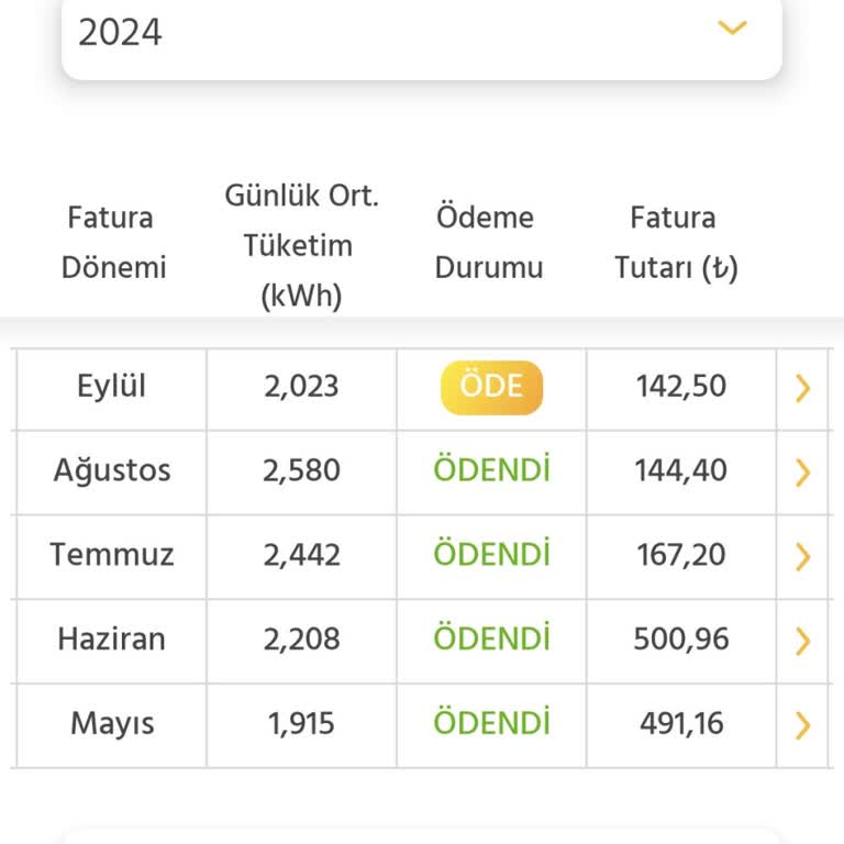 Enerjisa Başkent Perakende Boş Ev İle Yaşanan Ev Aynı Gelen Elektrik Faturası