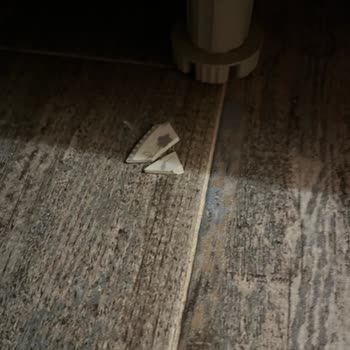 Tatilvillam.com Tatilvillam'da Olumsuz Yorumlar Yayınlanmıyor