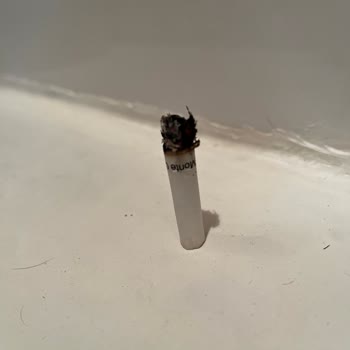 Monte Carlo Sigara Markası