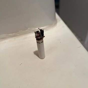 Monte Carlo Sigara Markası