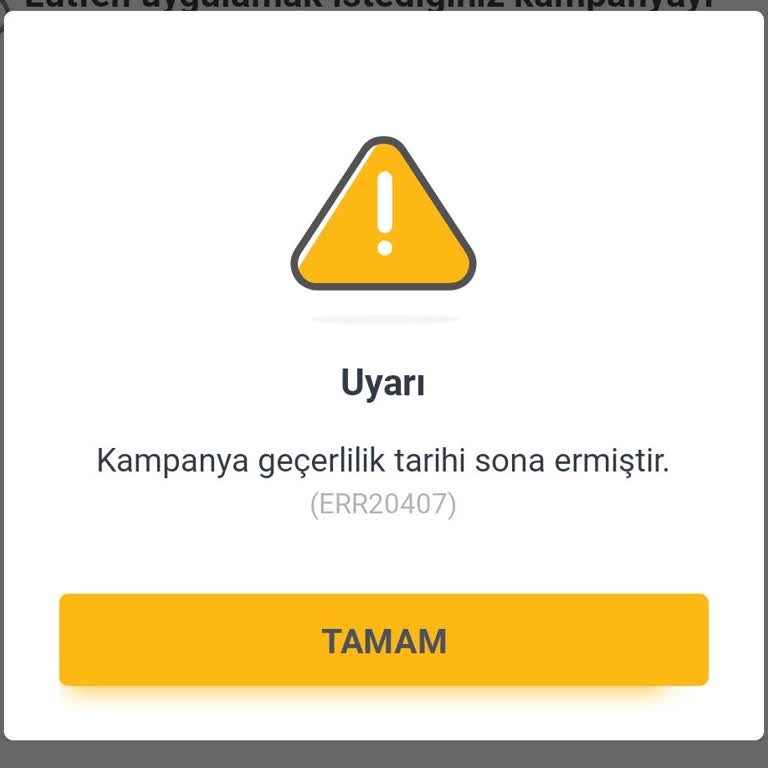 Pegasus 1 Bilet Senden 1 Bilet Benden Kodu Çalışmıyor!