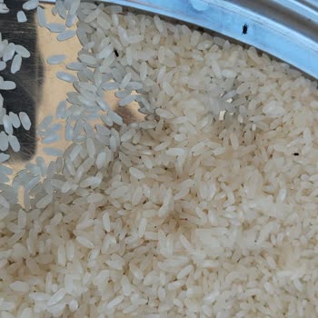 Tat Bakliyat Tat Osmancık Pirinci