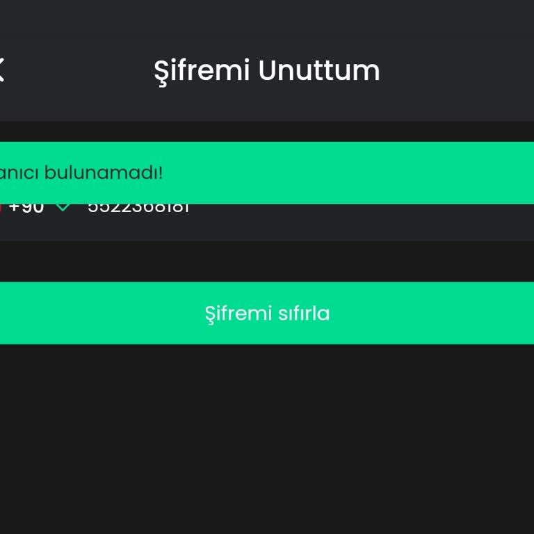Bitay Hesabımdaki Bakiye 0 Görünüyor Ve Hesabıma Giriş Yapamıyorum