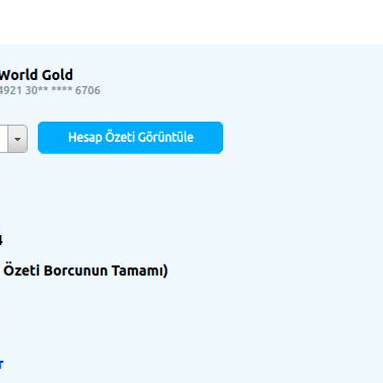 Yapı Kredi Bankası Hesap Özeti Borcu