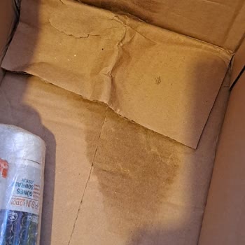 Mion Online Alışverişte Hatalı Paketleme Ve Yavaş Çözüm Süreci