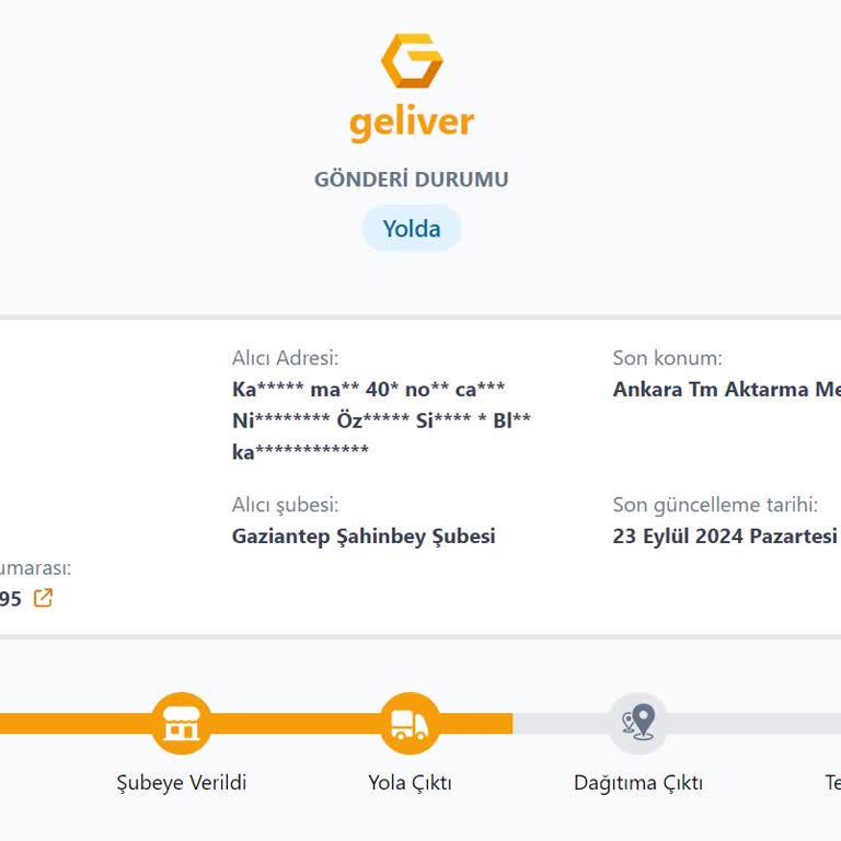 Geliver İle Bir Türlü Geliveremeyen Kargomuz