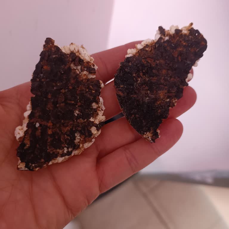 RiceUP Rice Up Pirinç Patlağı