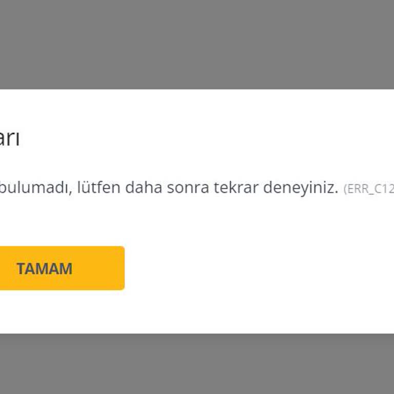 Pegasus Seyahat Belgesi Sorunu