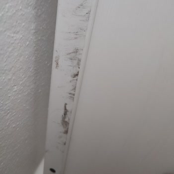 Öncü Nakliyat (Kayseri) Pişmanlığı