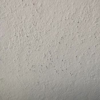 Öncü Nakliyat (Kayseri) Pişmanlığı