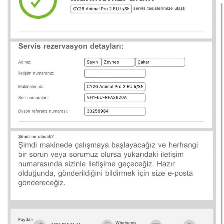 Dyson Big Ball Süpürge Pişmanlığı