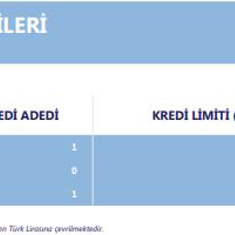 Denizbank Ödendiği Halde Türkiye Risk Merkezinden Düşmeyen Borç