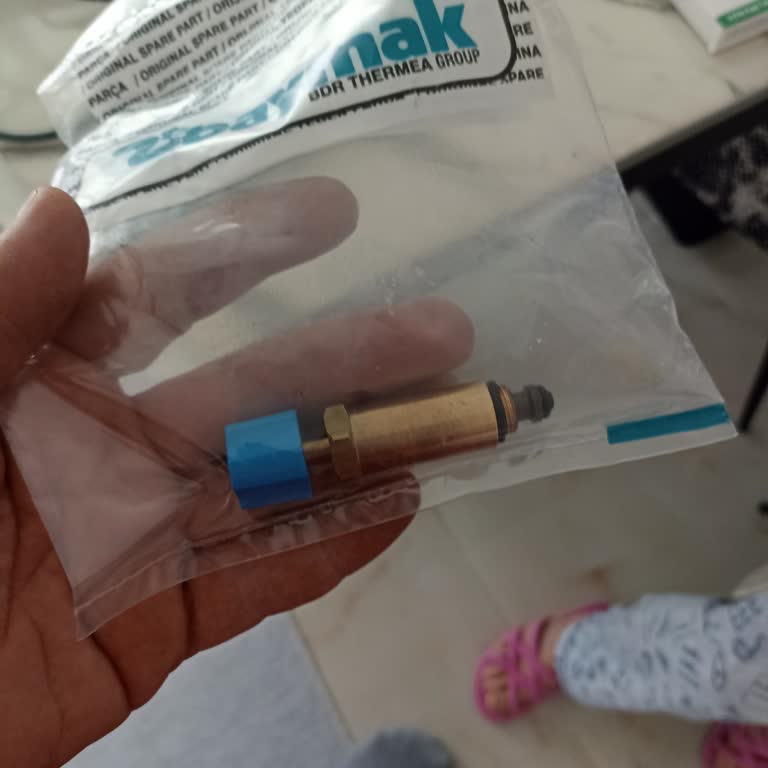 Baymak Kronik Vana Sorunsalı