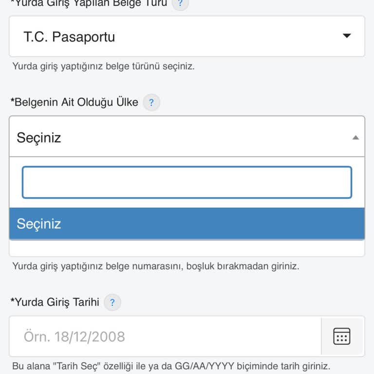 E-Devlet | Turkiye.gov.tr İşlem Sorunu