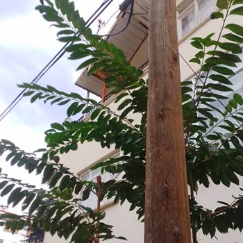 Türk Telekom Müşteri Temsilcisine Bağlanamıyorum