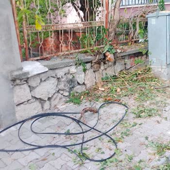 Türk Telekom Müşteri Temsilcisine Bağlanamıyorum