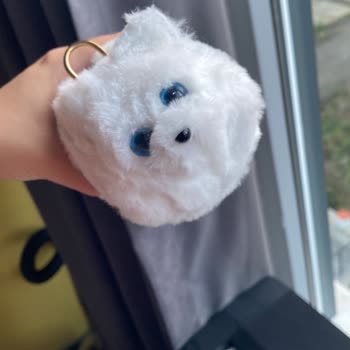 Pati Kitty Mağduriyeti!