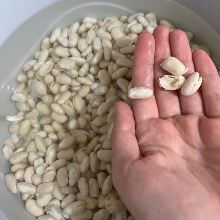 Hasata Kuru Fasulye Problemi