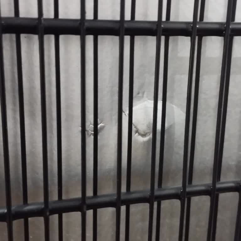 Beko Derin Dondurucu Ayıplı Ürün