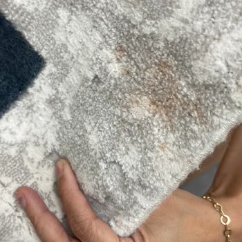 Seren Halı Yıkama (İstanbul) Seren Hali Yıkama Lekeli Geldi Halılarım