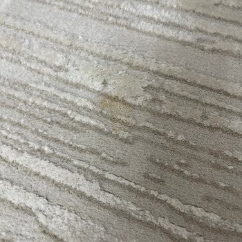 Seren Halı Yıkama (İstanbul) Seren Hali Yıkama Lekeli Geldi Halılarım