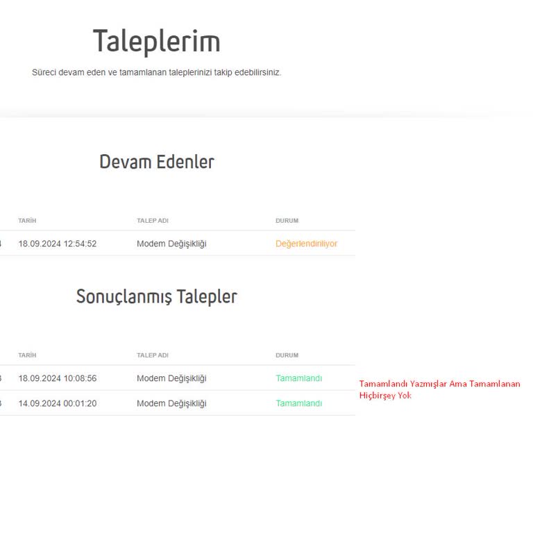 Superonline İnternet Bağlantı Sorunu ve Modem Talebi