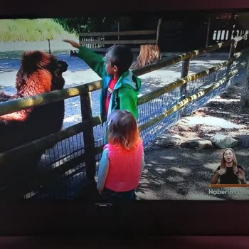 Philips TV LED Arızası, Ekran Kararması