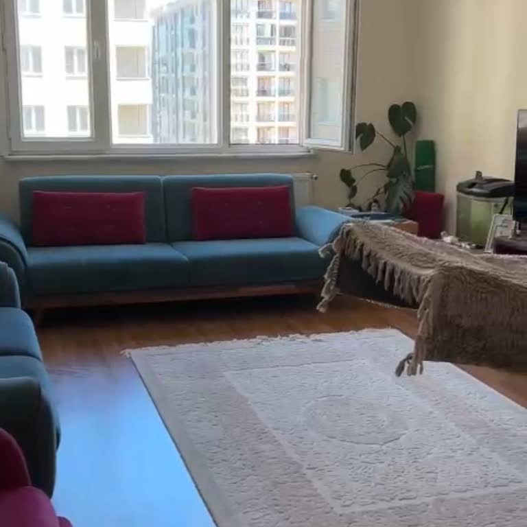 Kar-Dem Halı Yıkama Fabrikası Kayıp Halılar