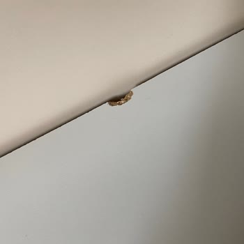 Malatya Ocasso Büyük Pişmanlık