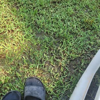 Simurg Lara Halal Hotel unhygienisch, Pool schmutzig und schlechte Zimmerausstattung