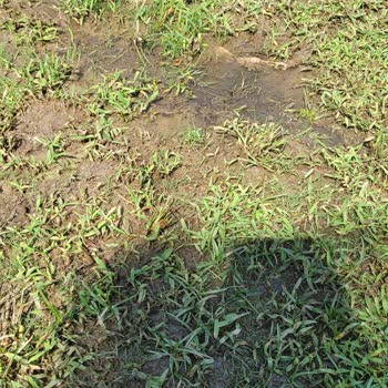 Simurg Lara Halal Hotel unhygienisch, Pool schmutzig und schlechte Zimmerausstattung