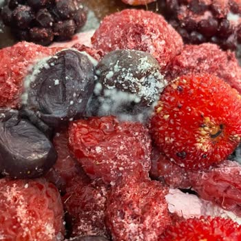 Livashop Küflü Pasta Gönderdi